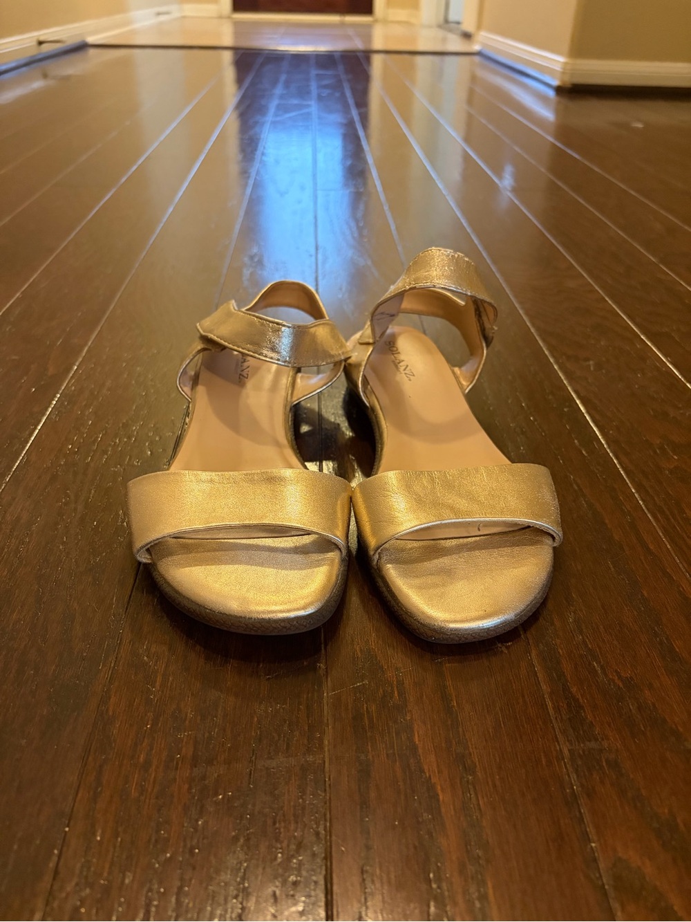 Gold Metallic Slide Sandals by Solanz Comfort